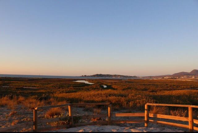 Humedal de Pachingo-Tongoy必去景点
