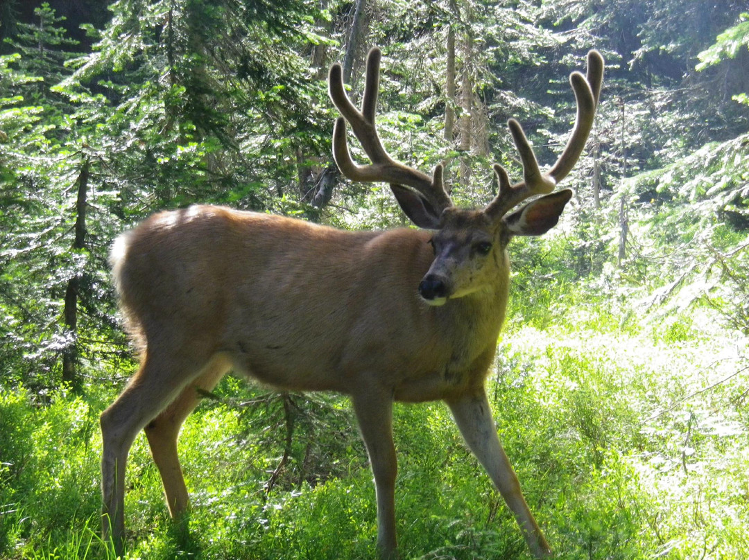 Rugg's Outfitting-Superior必去景点