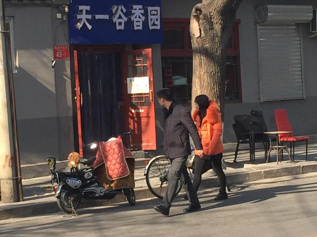 西华智德宾馆主图