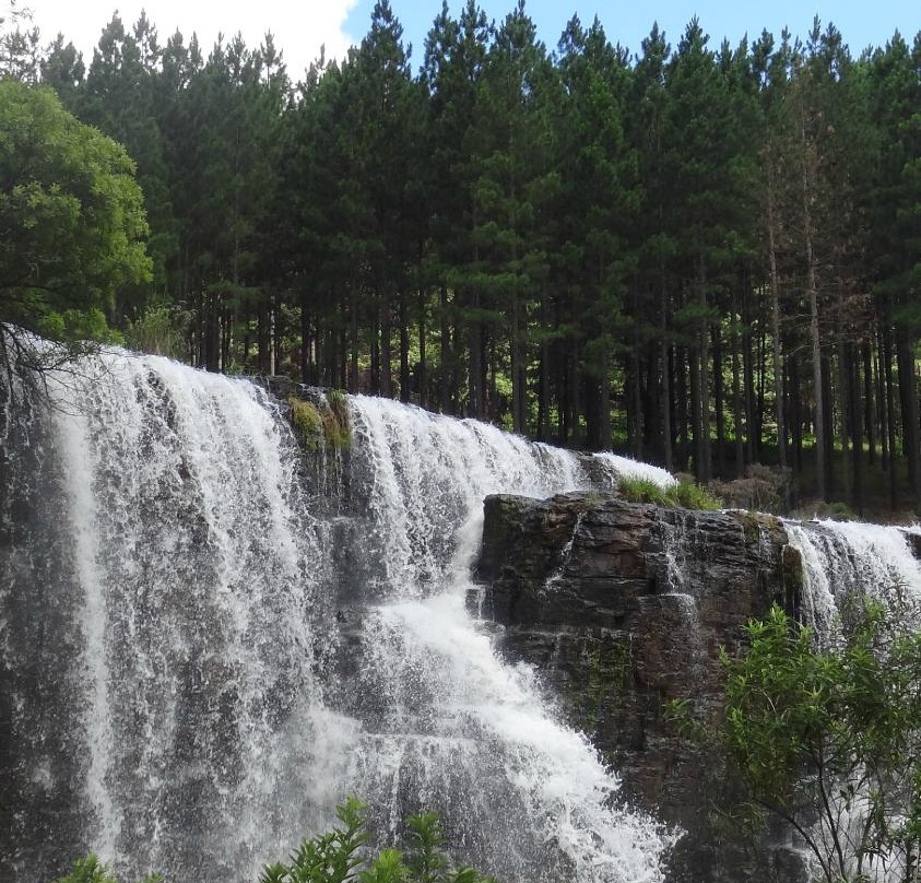 Forest Falls Nature Walk-沙比必去景点