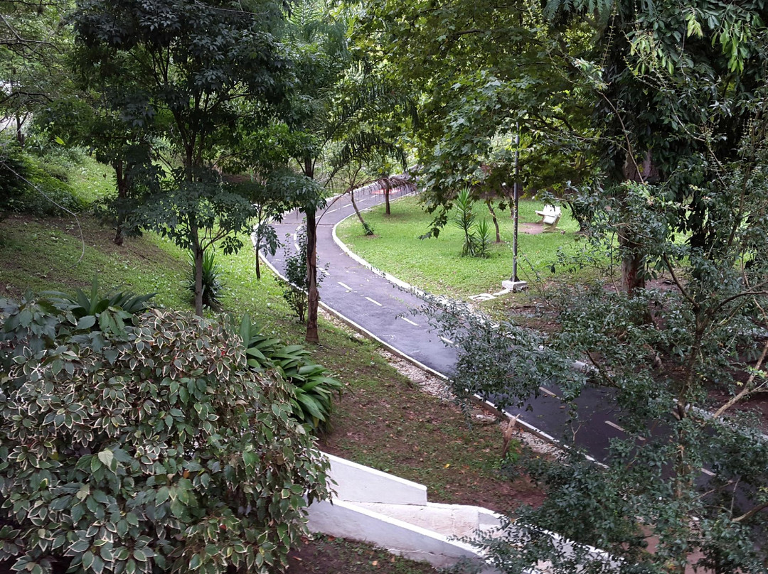 Parque Itaimbé景点图片