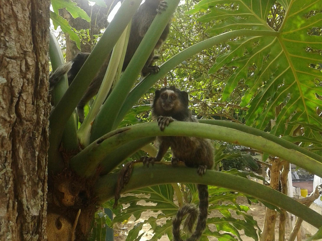 Fazenda Nossa Senhora da Conceicao