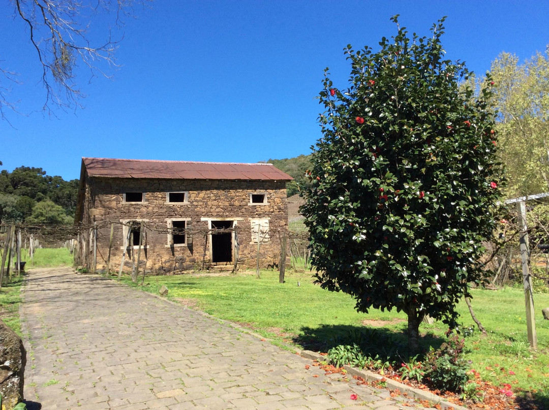 Cantina Strapazzon-本图贡萨尔维斯必去景点