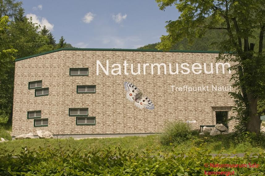 Naturmuseum Salzkammergut - Treffpunkt Natur景点图片