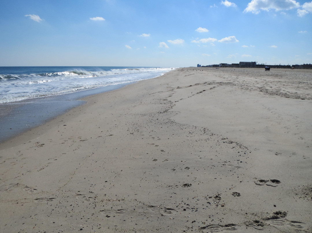 Sea Bright Public Beach景点图片