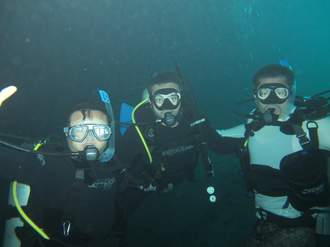 SCA Dive & Freedive Center-梅里达必去景点