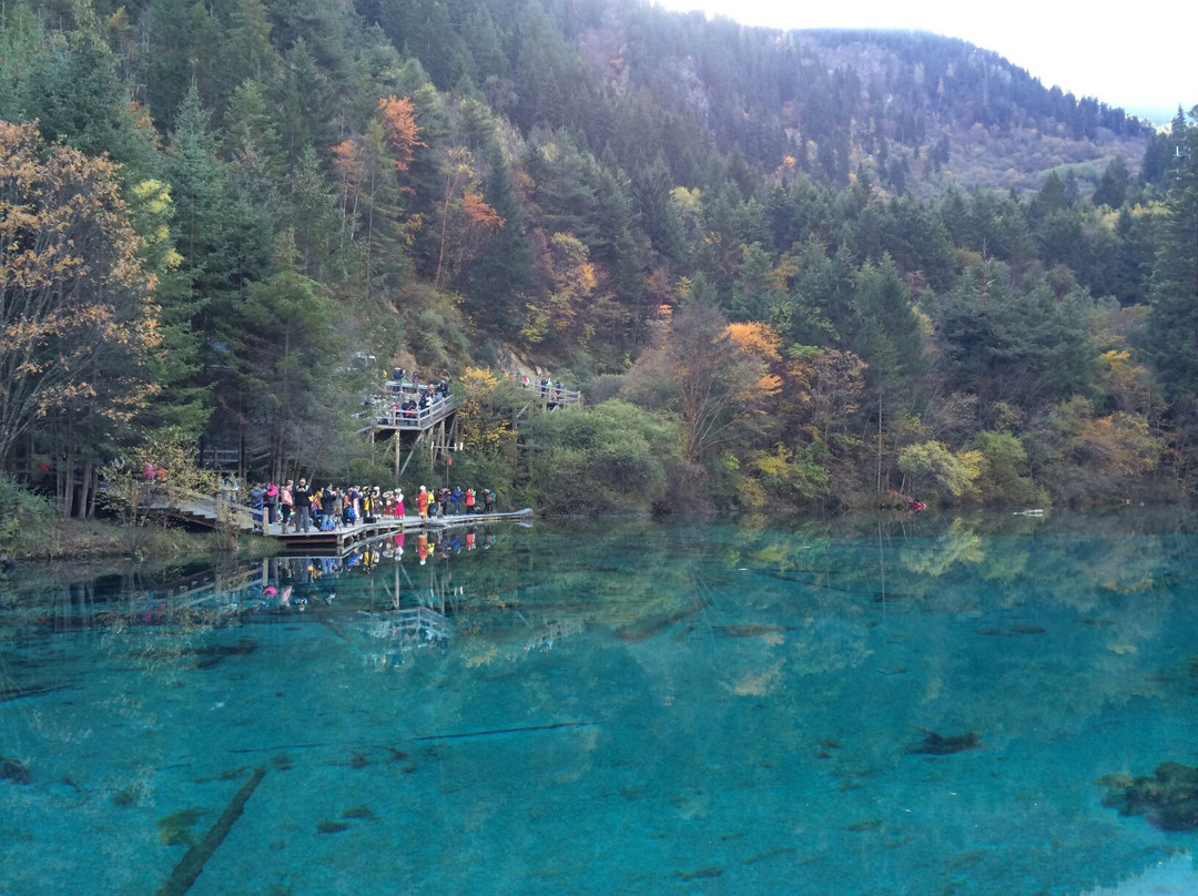 镜海景点图片