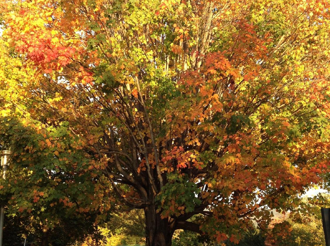 Bennington College-本宁顿必去景点