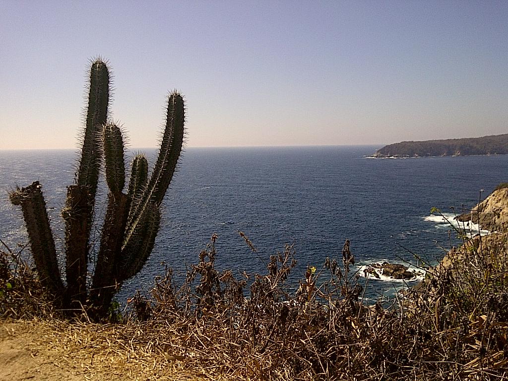 Hotel Misión Mares Huatulco-客卧