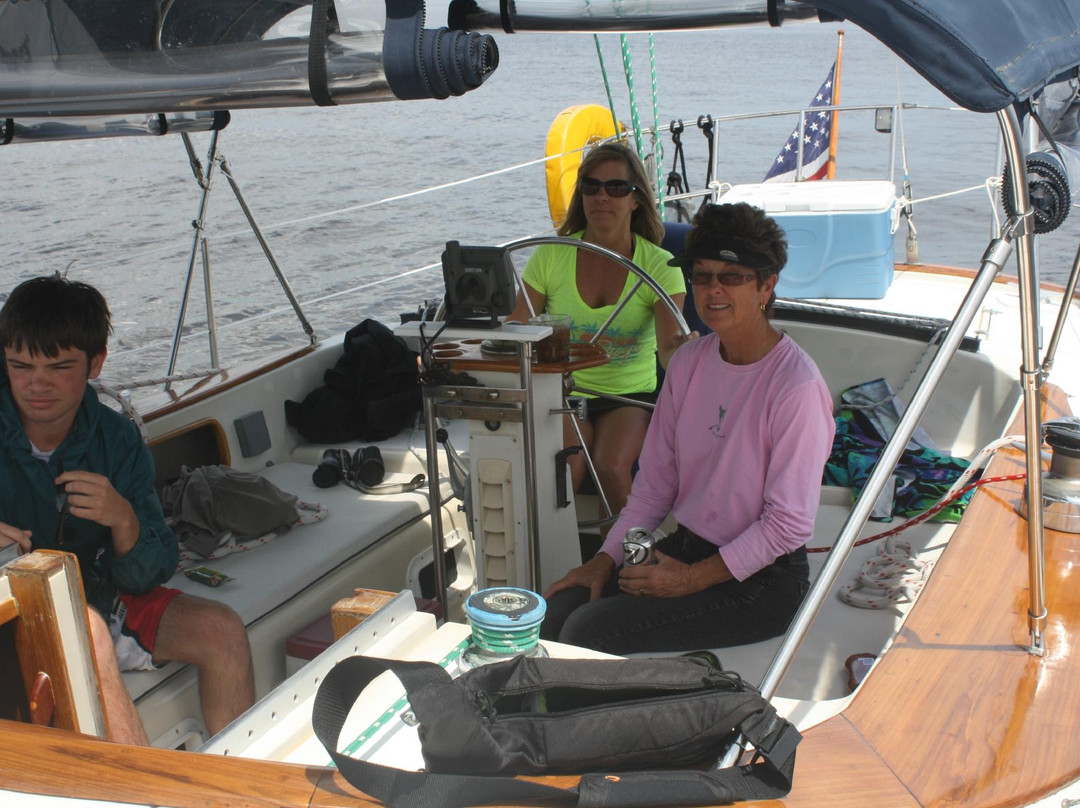 On The Wind Sailing Cruises-新伯尔尼必去景点