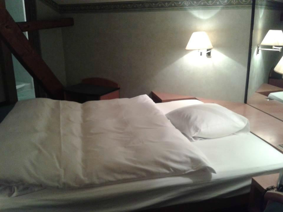 Hotel des Alpes主图