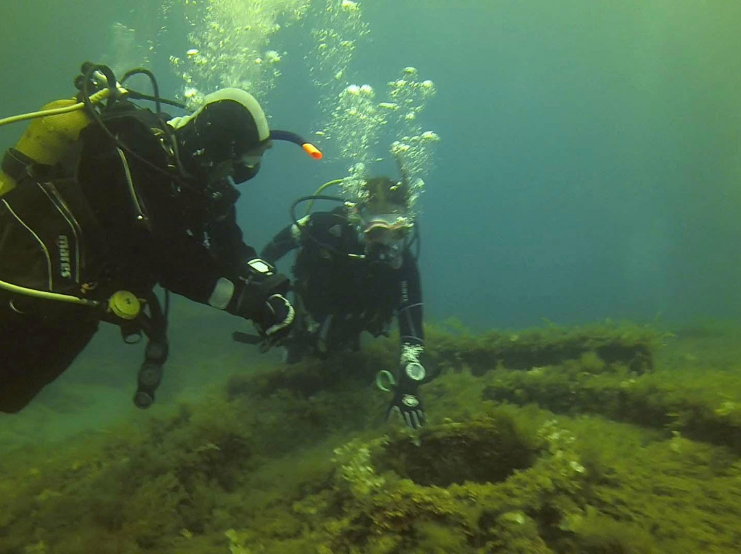Neptunes Diving Malta-卡拉必去景点