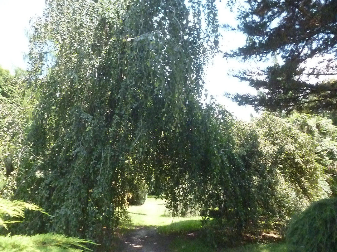 Nogent-sur-Vernisson旅游攻略图片