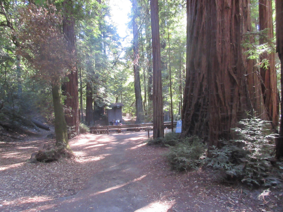 Portola Redwoods State Park-La Honda必去景点