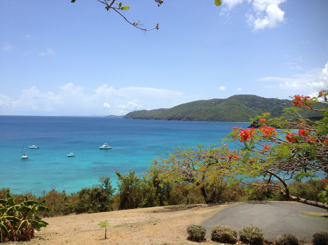 Brewer's Bay-圣 托马斯必去景点