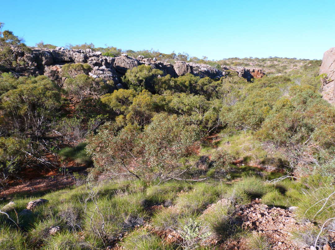Thomas Carter Lookout Walk-埃克斯茅斯必去景点