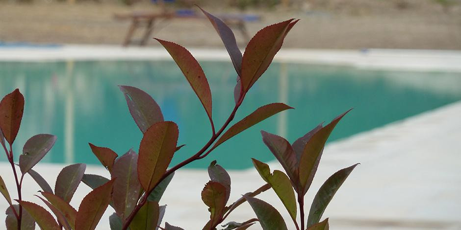 Agriturismo I Casali主图