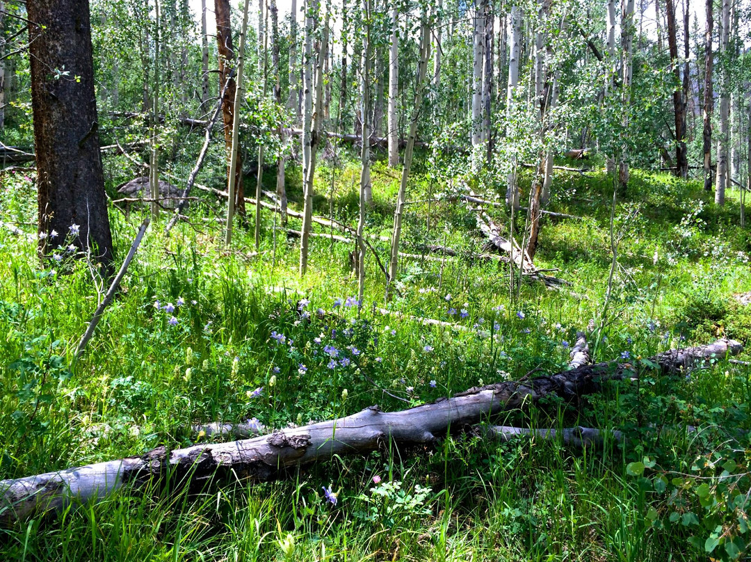 Peaks Trail-布雷肯里奇必去景点