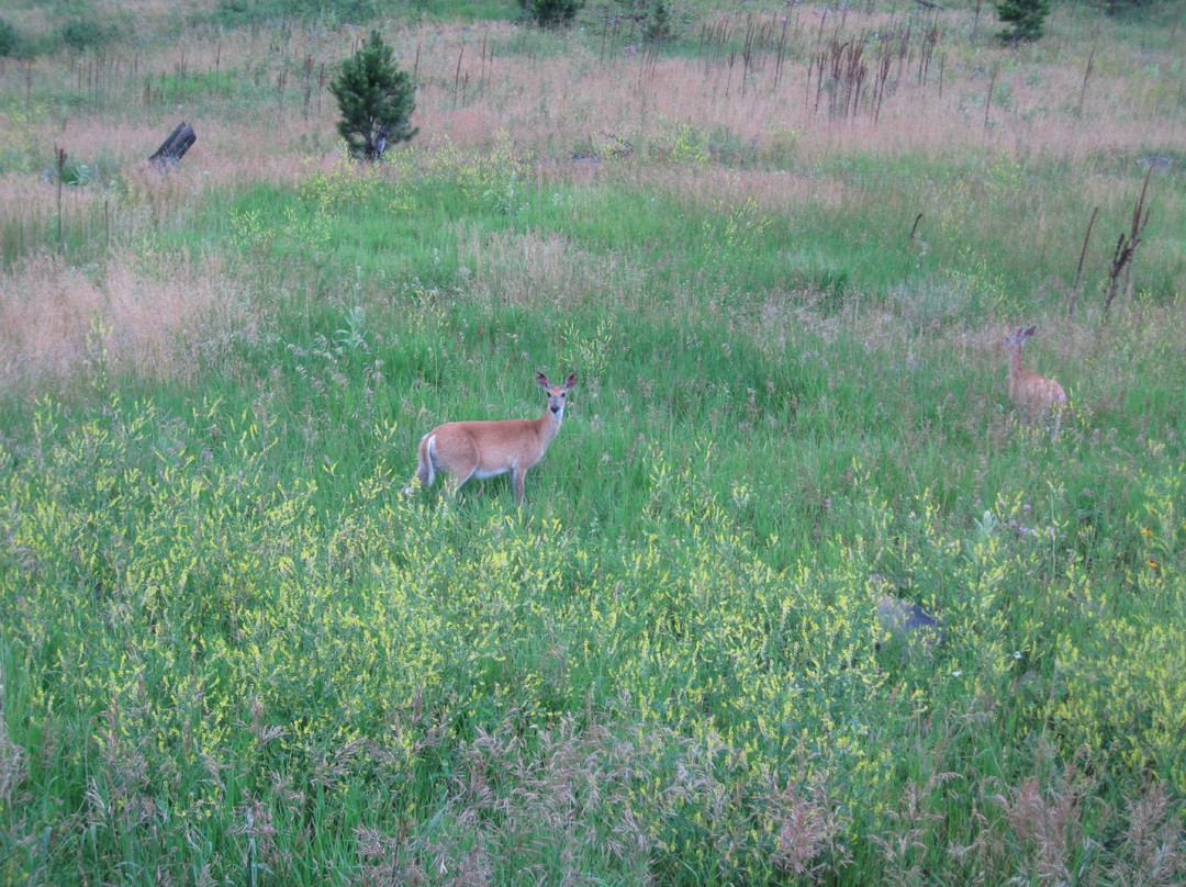 GeoFunTrek Tours-拉皮德城必去景点