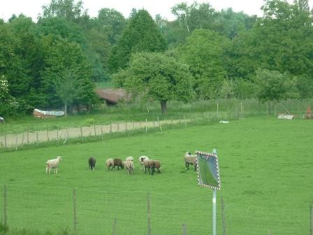 Gaestehaus Heuchert主图