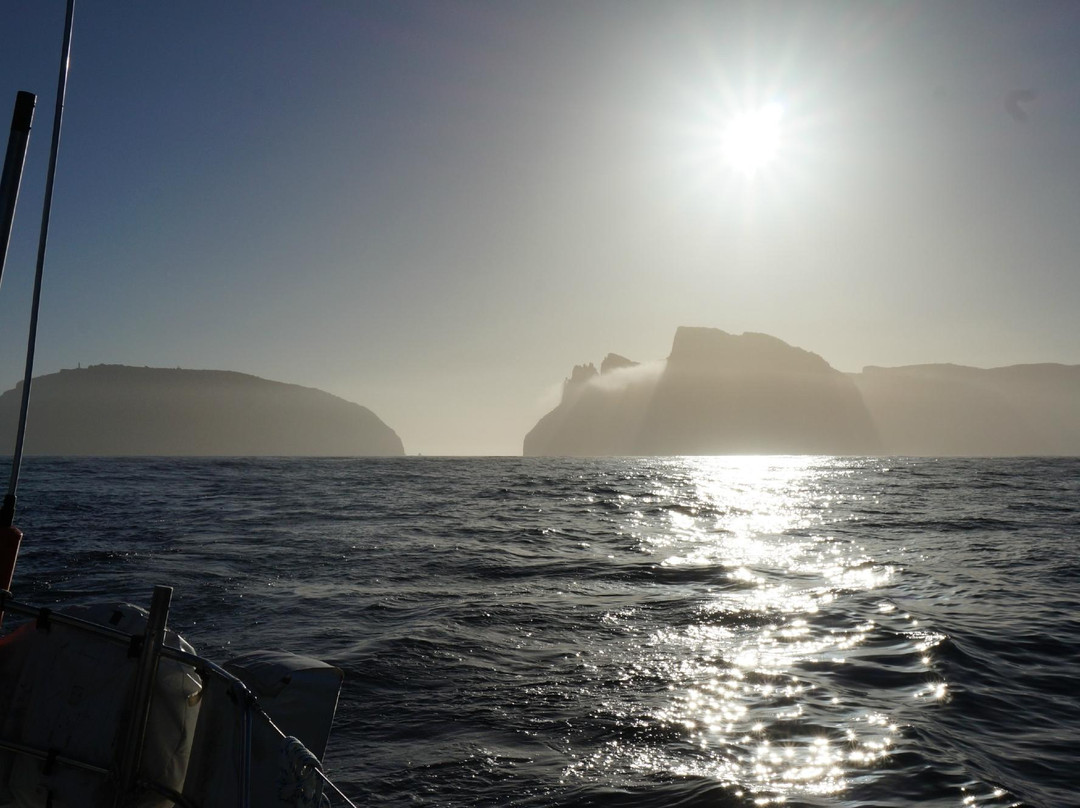 Flying Fish Sailing-莫斯曼必去景点