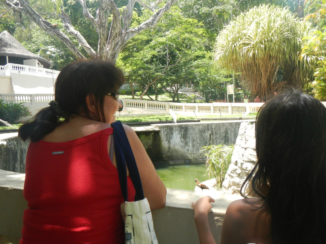 Parque Zoobotânico Arruda Câmara-Joao Pessoa必去景点