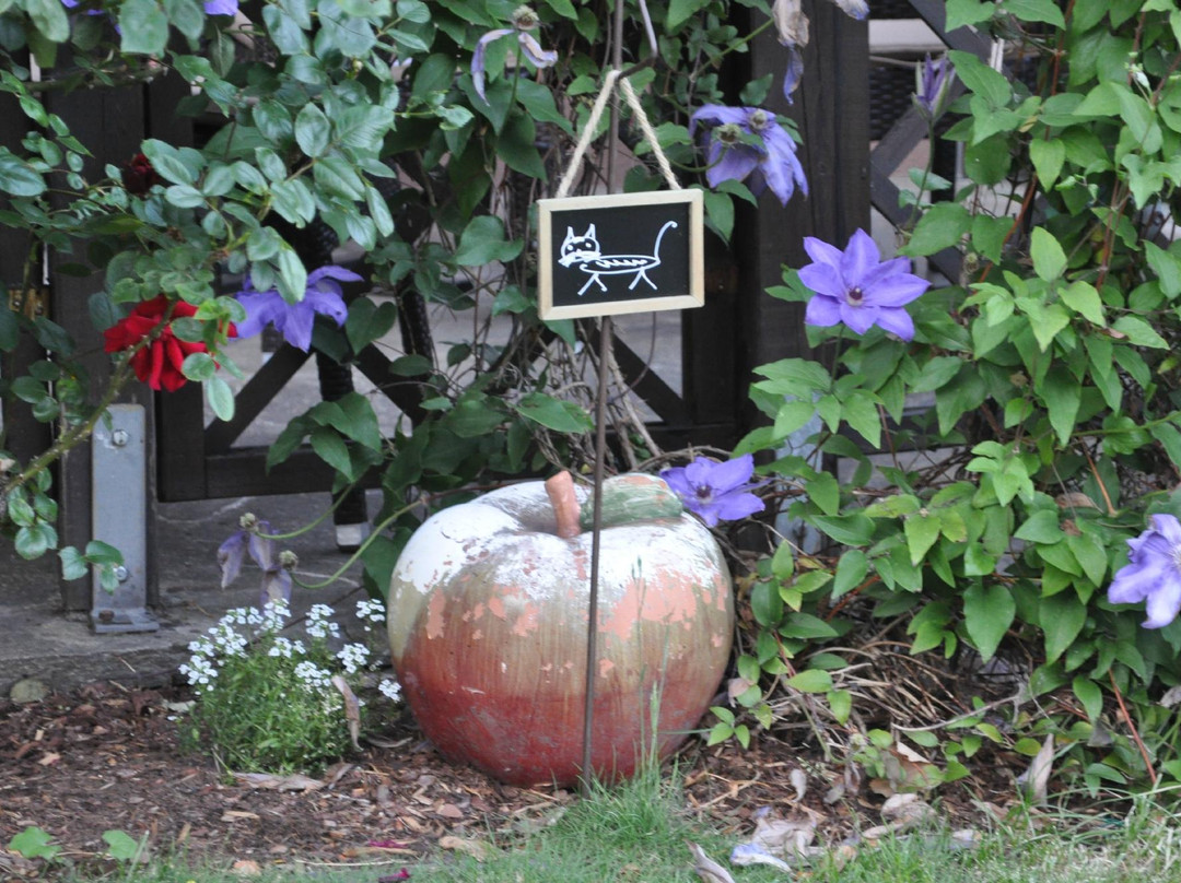 Pension Alte Muehle主图