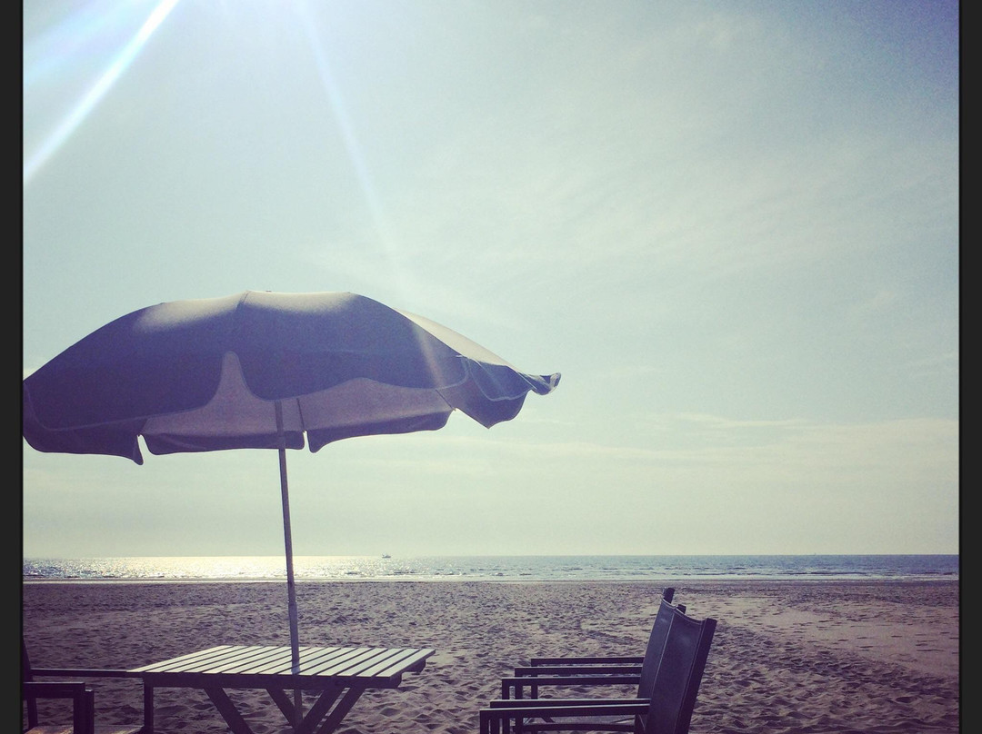 Le Touquet Beach-勒图凯－巴黎普拉日必去景点