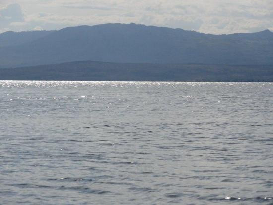 Lake Naivasha-Rift Valley Province必去景点