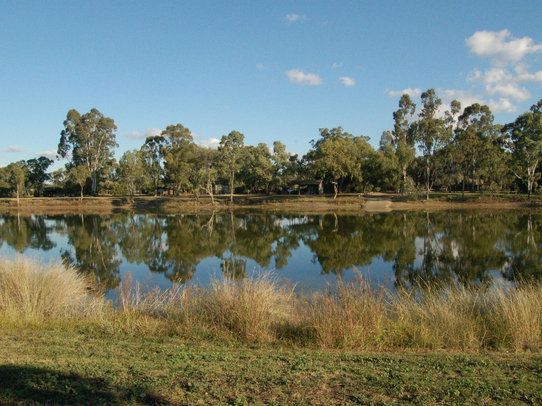 Goondiwindi Botanic Gardens of the Western Woodlands景点图片