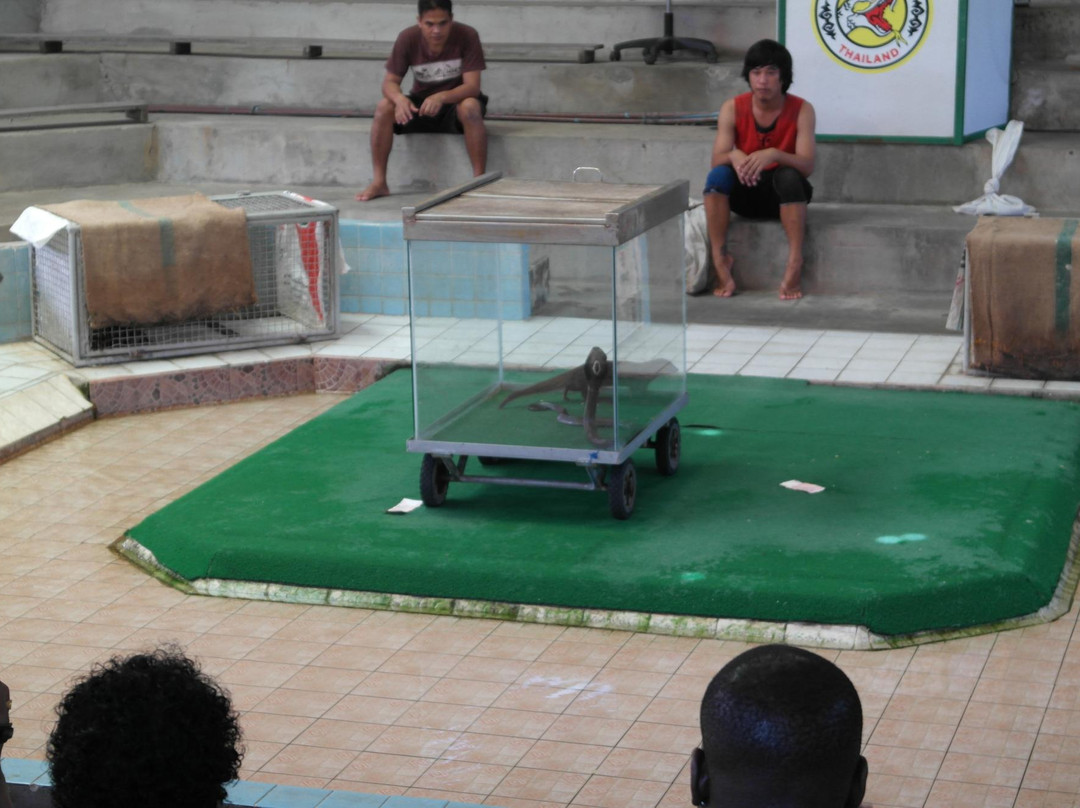 Cobra Show景点图片