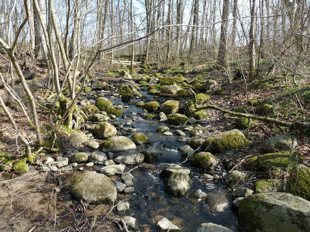 Dalby Söderskog National Park景点图片