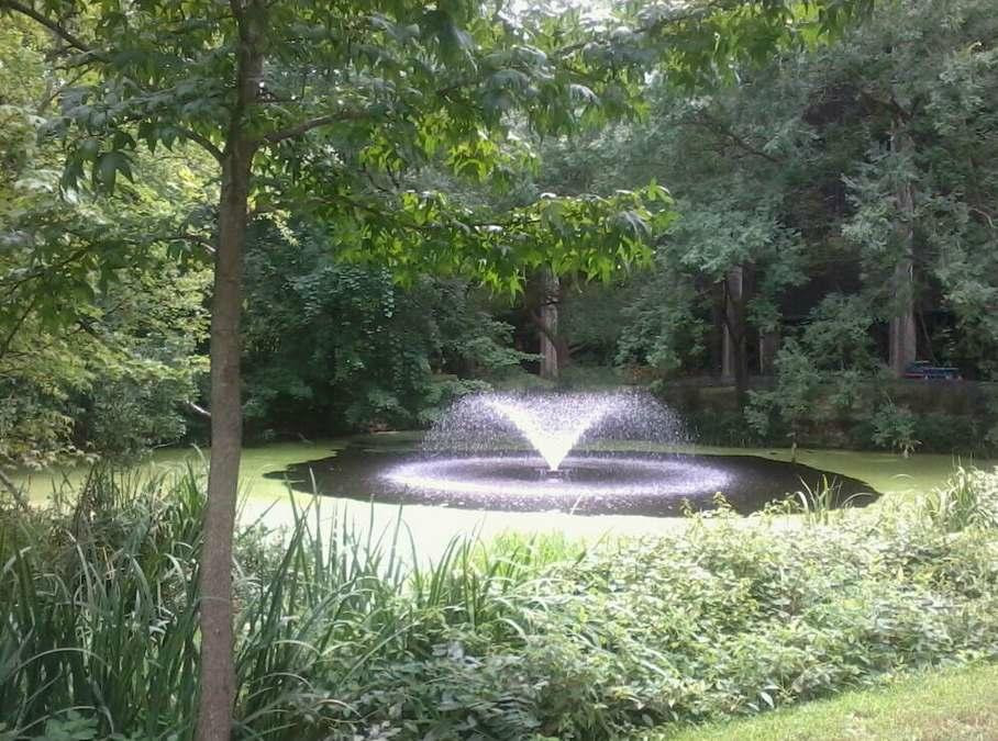 Helen Avalynne Tawes Garden-安纳波利斯必去景点