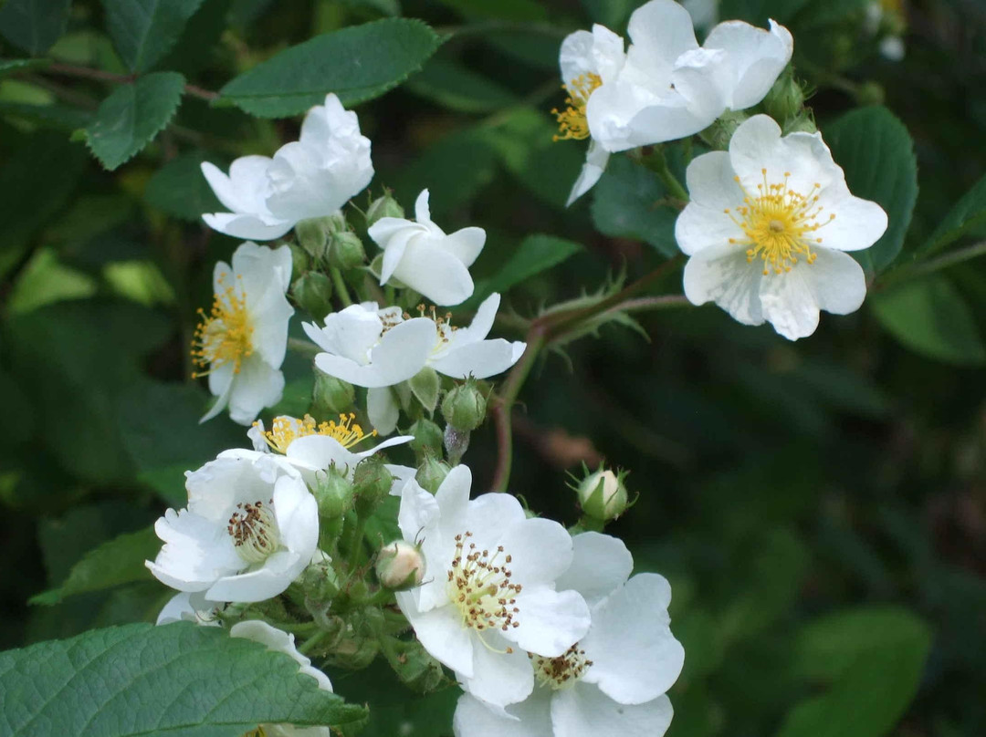 Institute of Nature Study-Shirokanedai必去景点