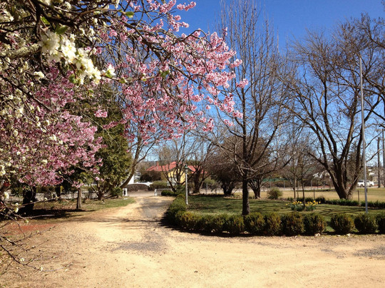 Glen Innes Bed and Breakfast主图