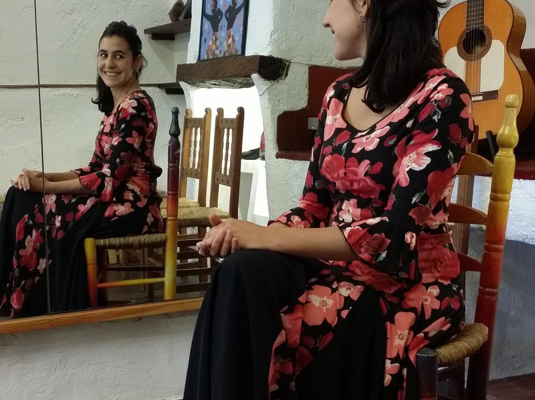 Escuela de Flamenco La Fuente景点图片