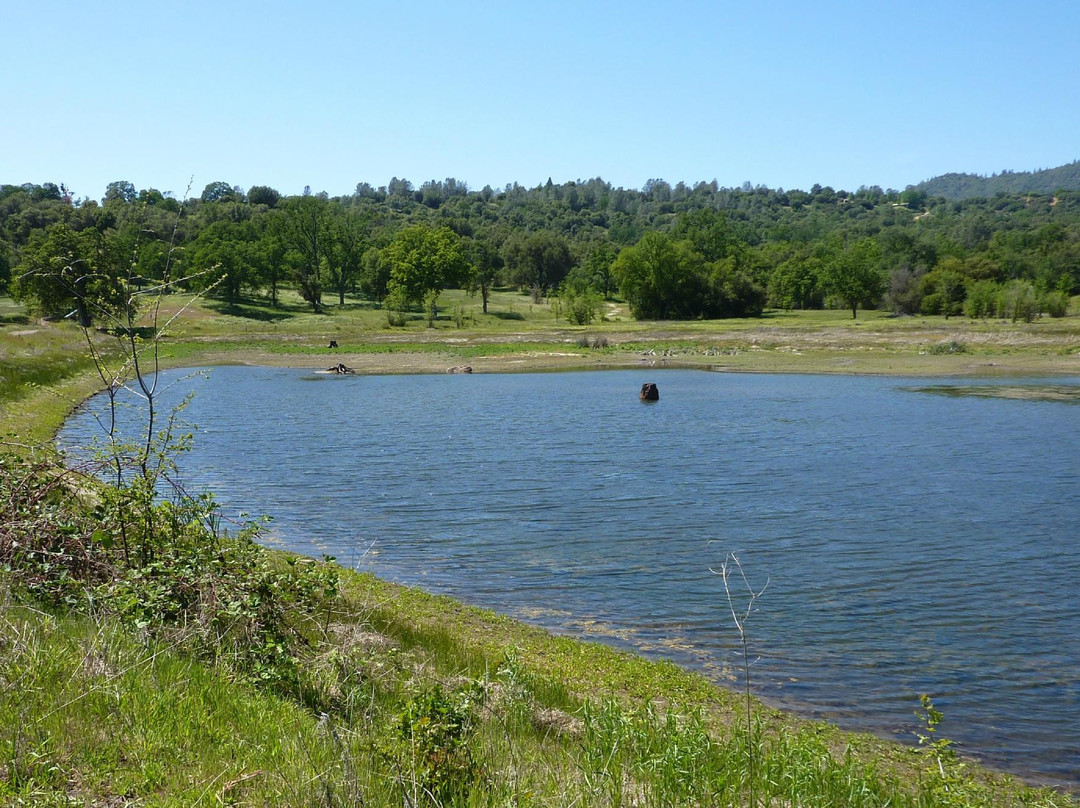 Ahwahnee旅游攻略图片