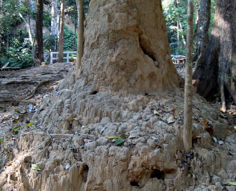 Namtok Huai Rong Waterfall景点图片