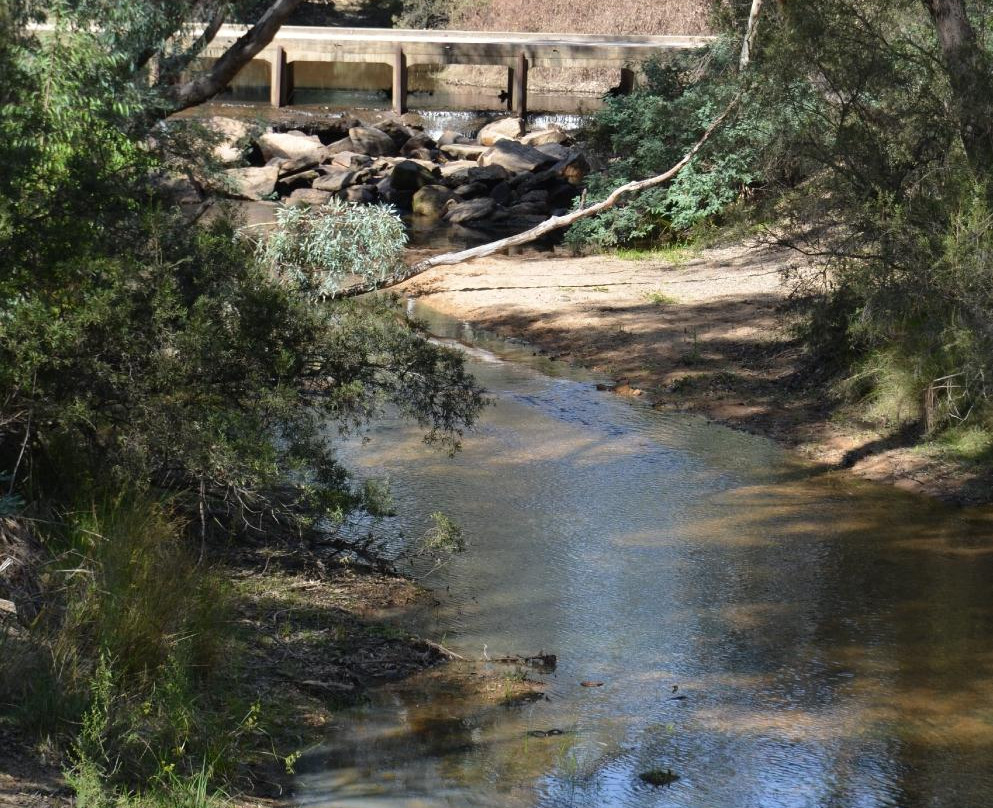 Reedy Creek-Eldorado必去景点