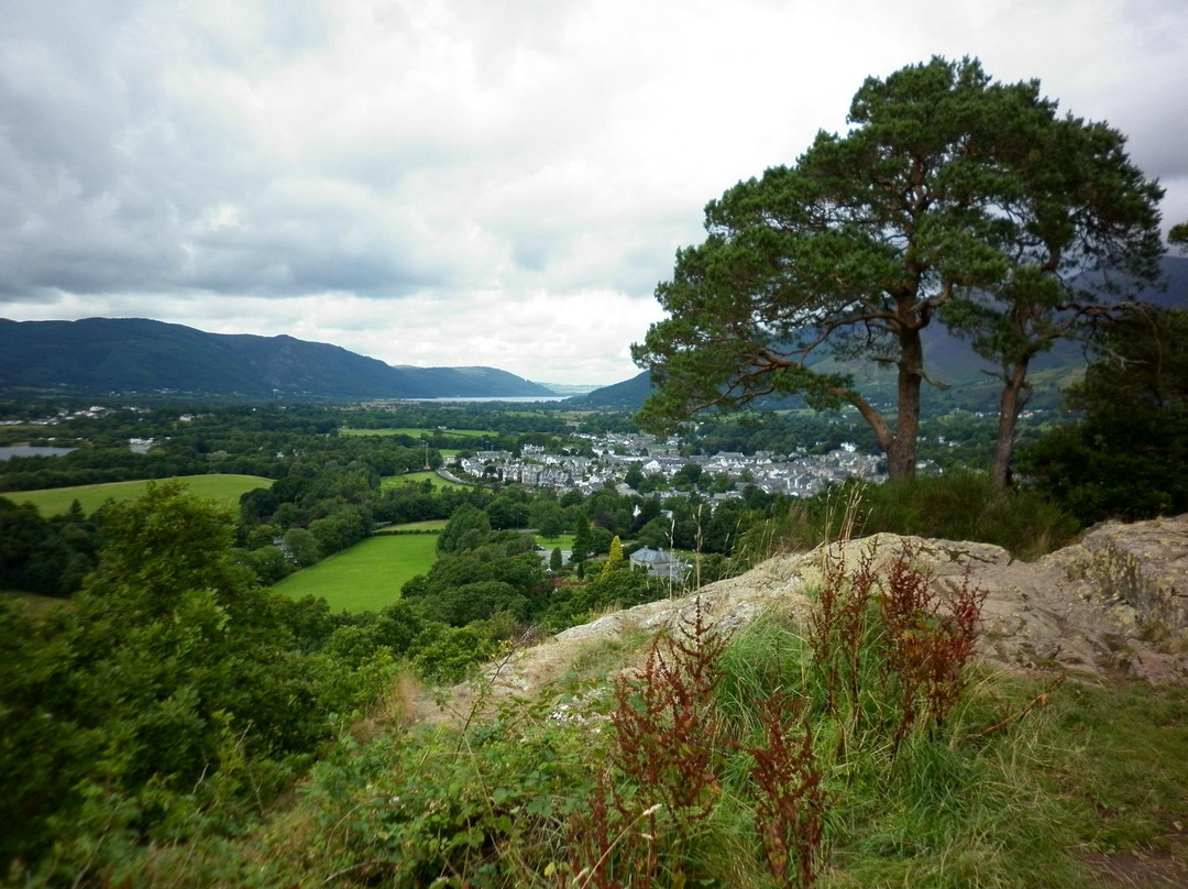 Castlehead Woods景点图片