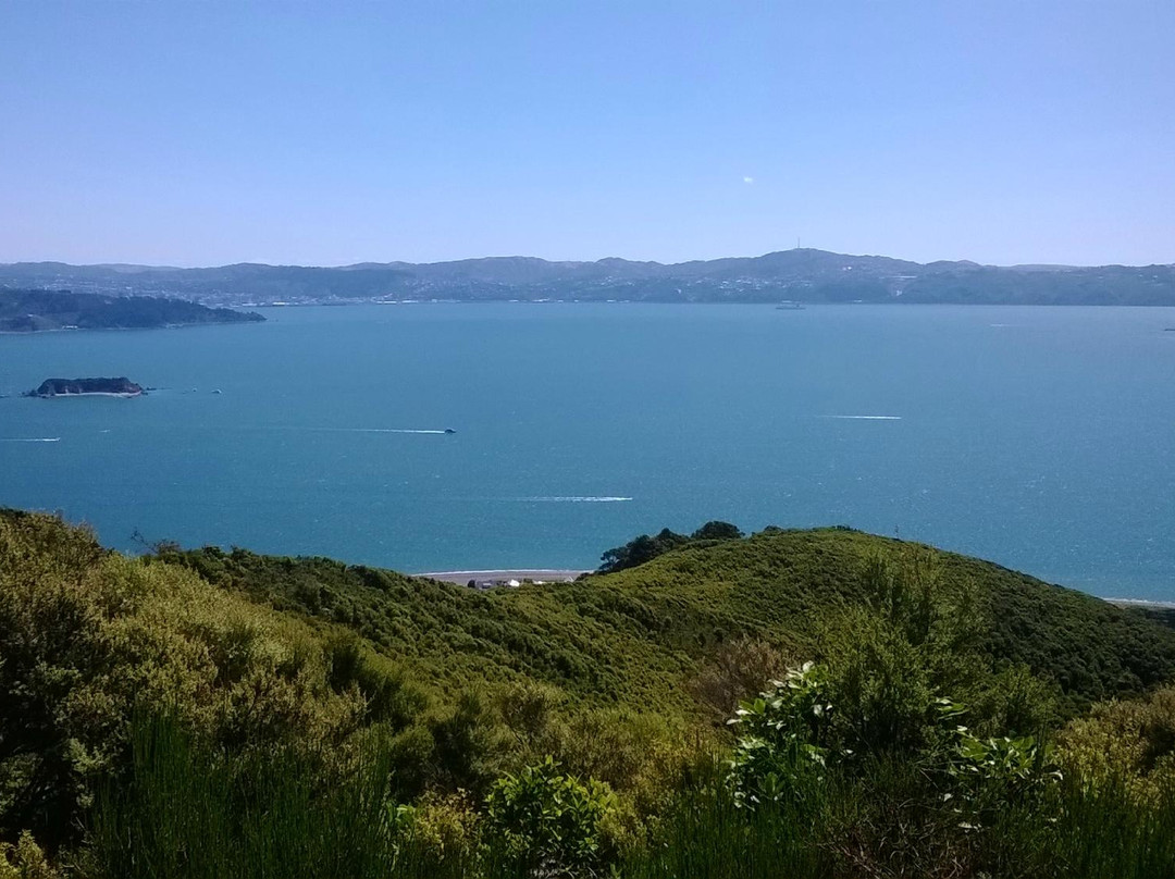 Butterfly Creek-惠灵顿必去景点