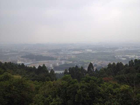 火炉山森林公园-广州市必去景点
