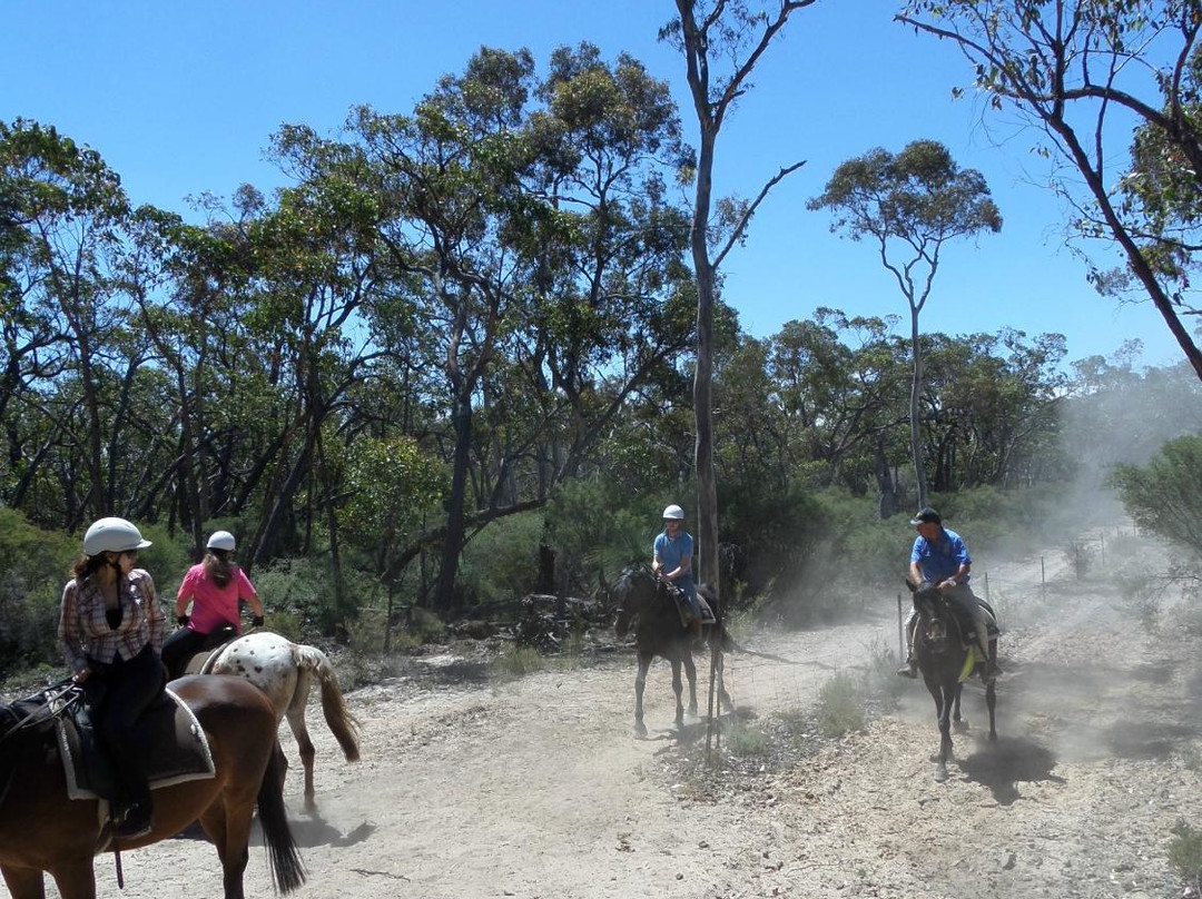 Grampians Horse Riding Centre-Brimpaen必去景点