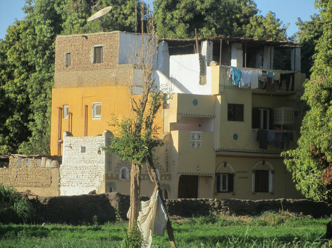 Animalia-亚斯文必去景点