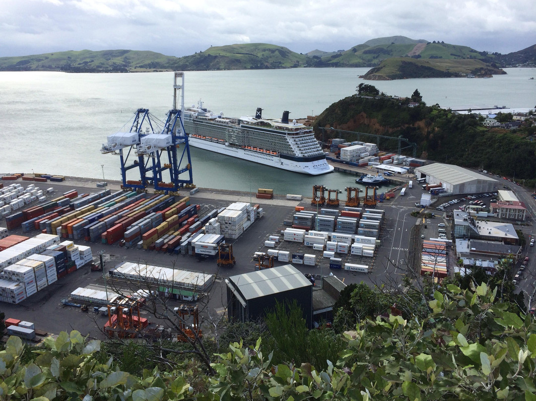 Bookatour-但尼丁必去景点