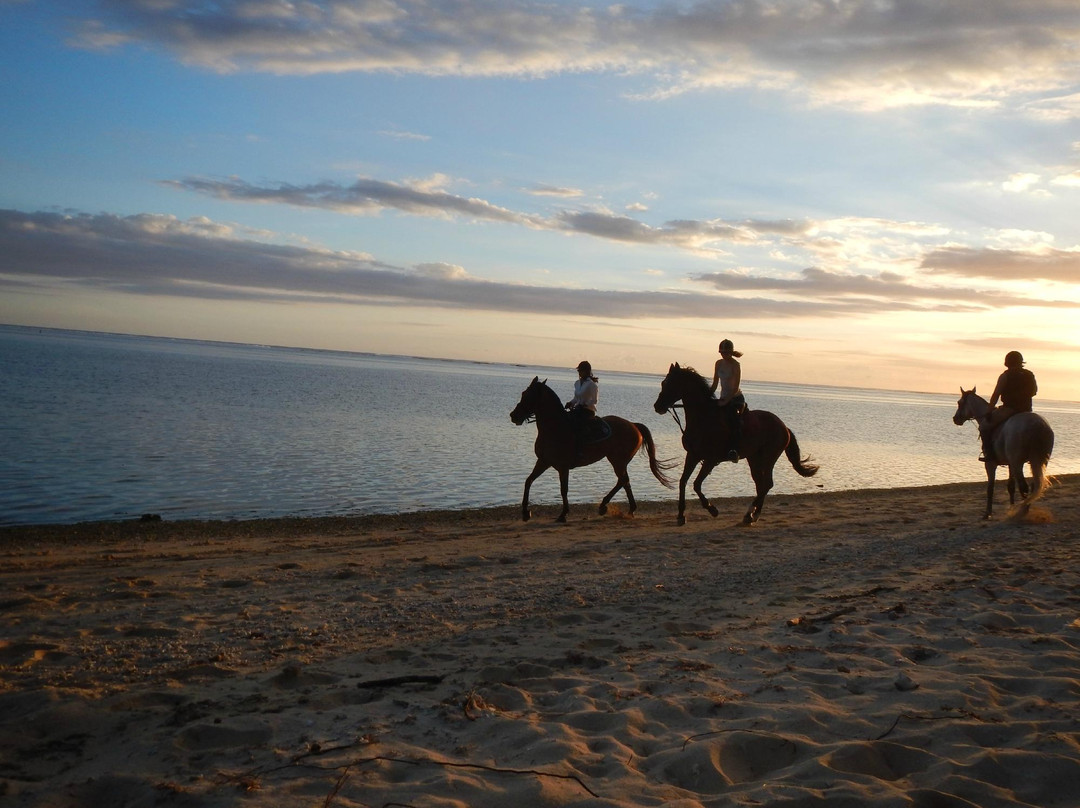 HORSE RIDING RIAMBEL- Centre Equestre De Riambel-Riambel必去景点
