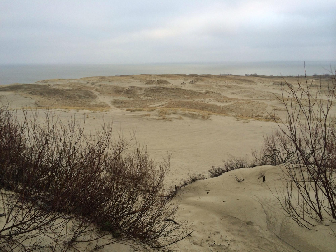 Nida Dunes景点图片