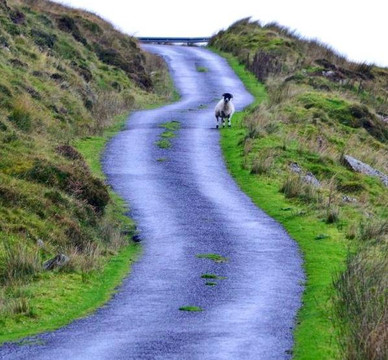 Killarney Guided Tours-基拉尼必去景点