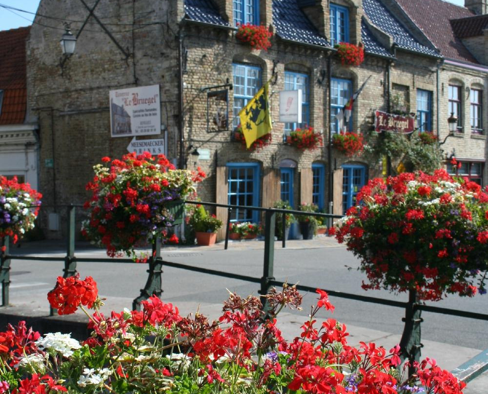 Gite Bergues Centre
