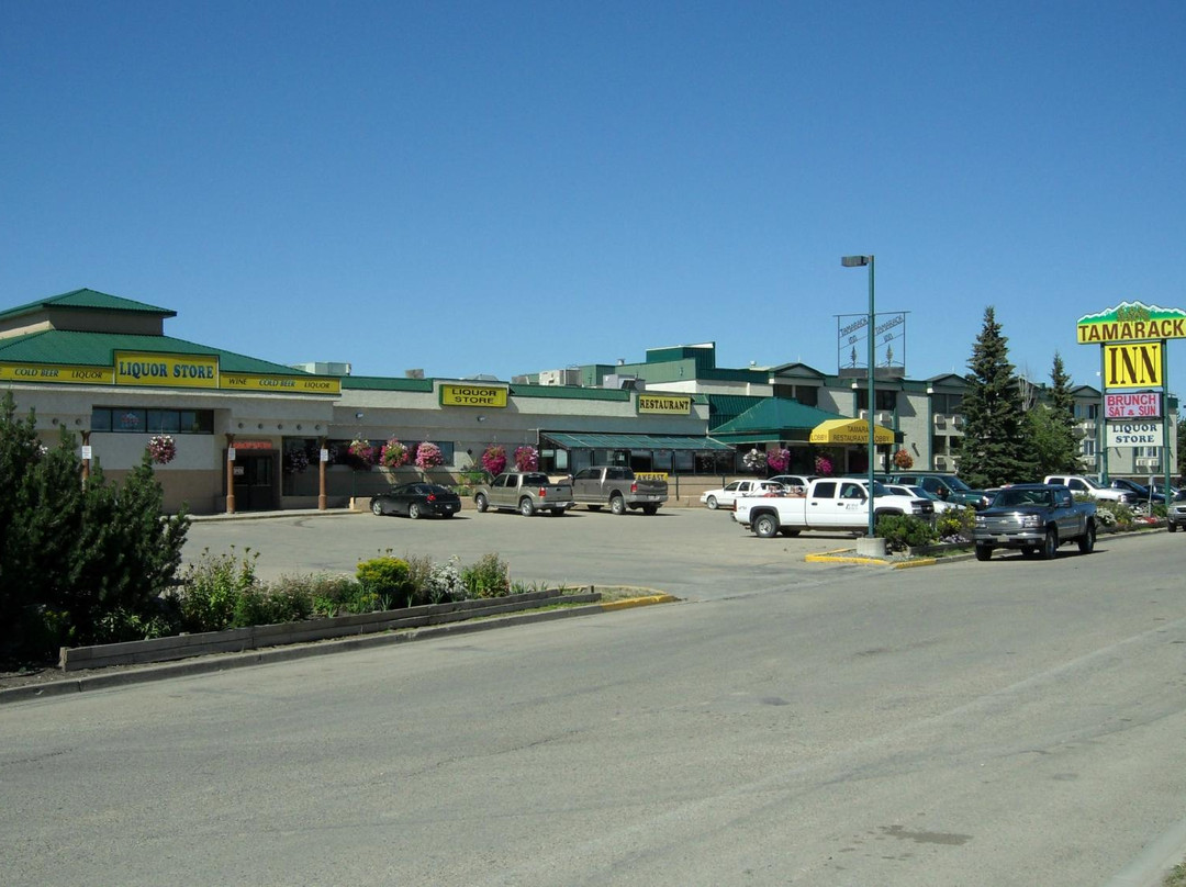 Tamarack Motor Inn主图